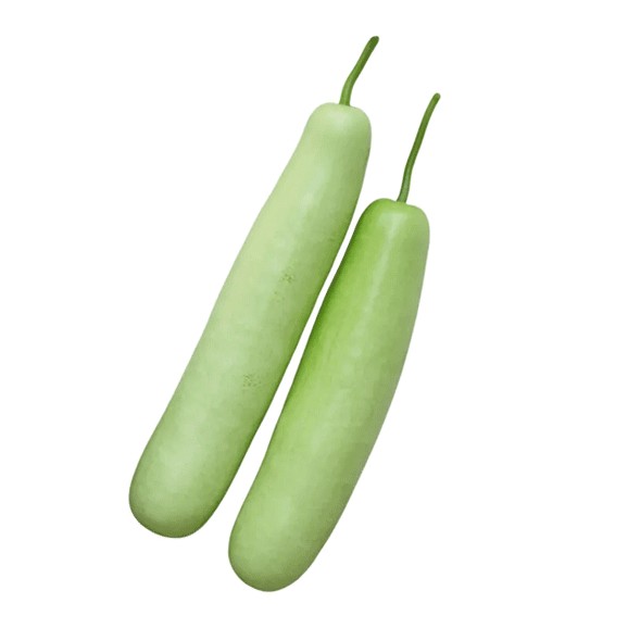 Squash Loki 1 LBS