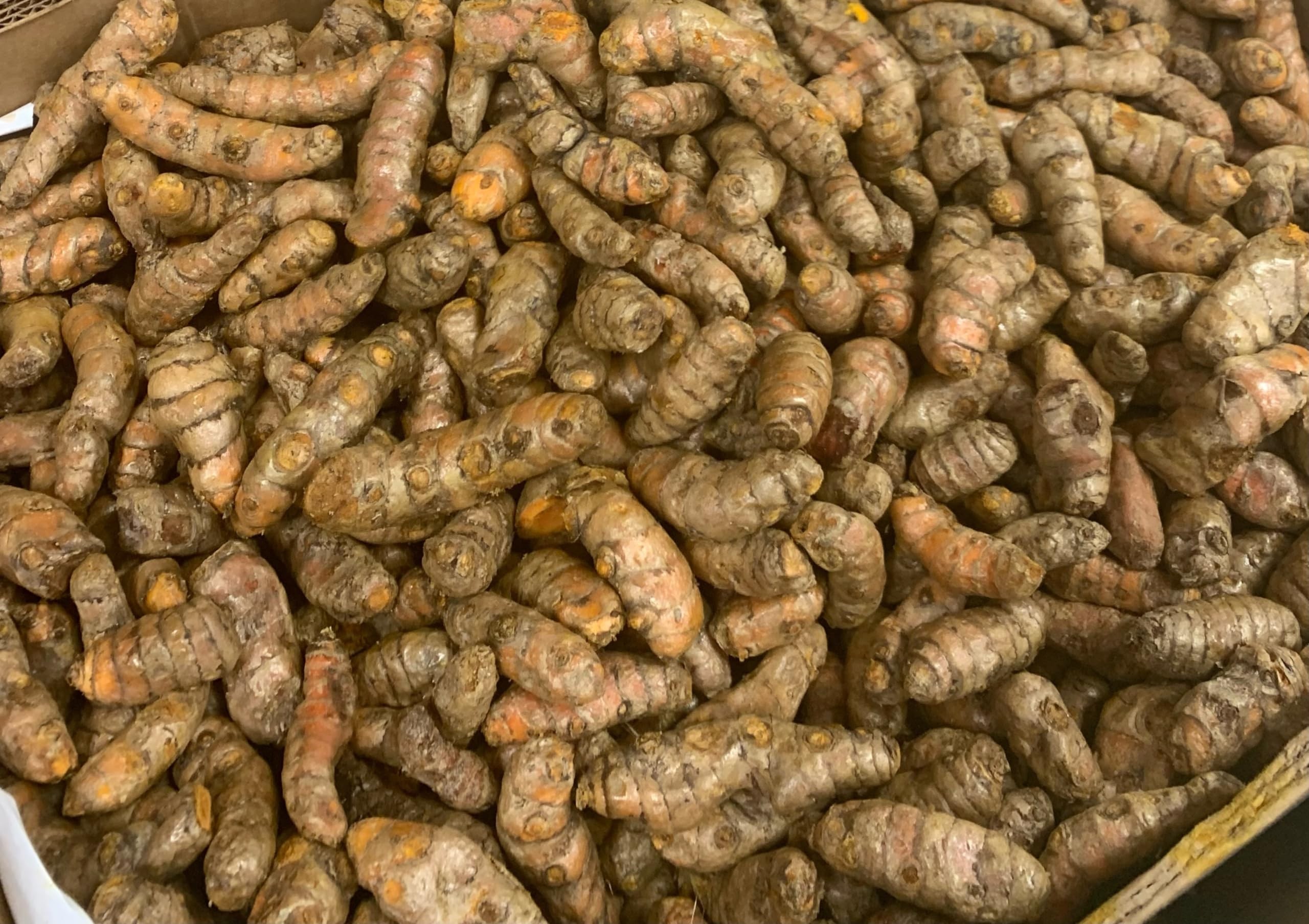 Turmeric Yellow 1 LBS