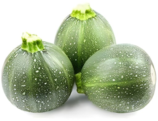 Squash Round 1 LBS
