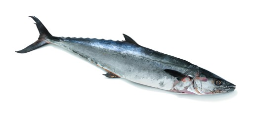 King Fish Whole 1 LB