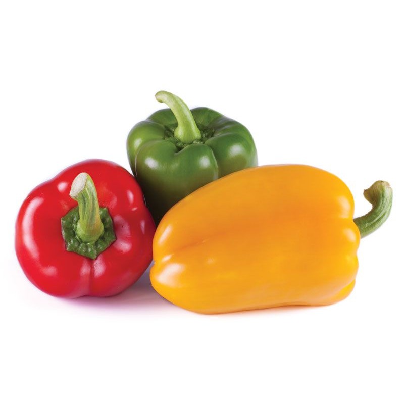 Bell Pepper 1 LBS