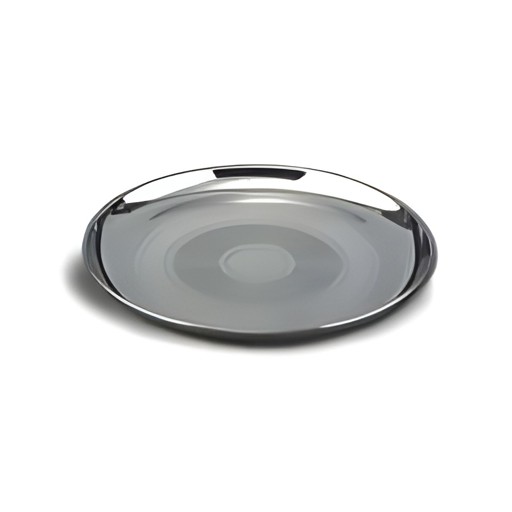S.S CHINA PLATE #10
