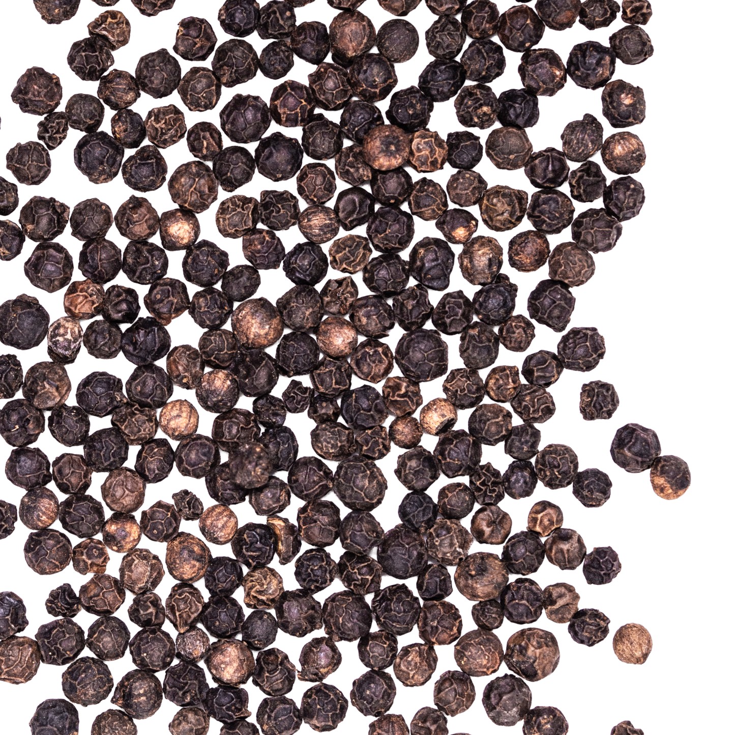 KALUSTYANS SARAWAK BLACK PEPPERCORN 0.38 Lbs