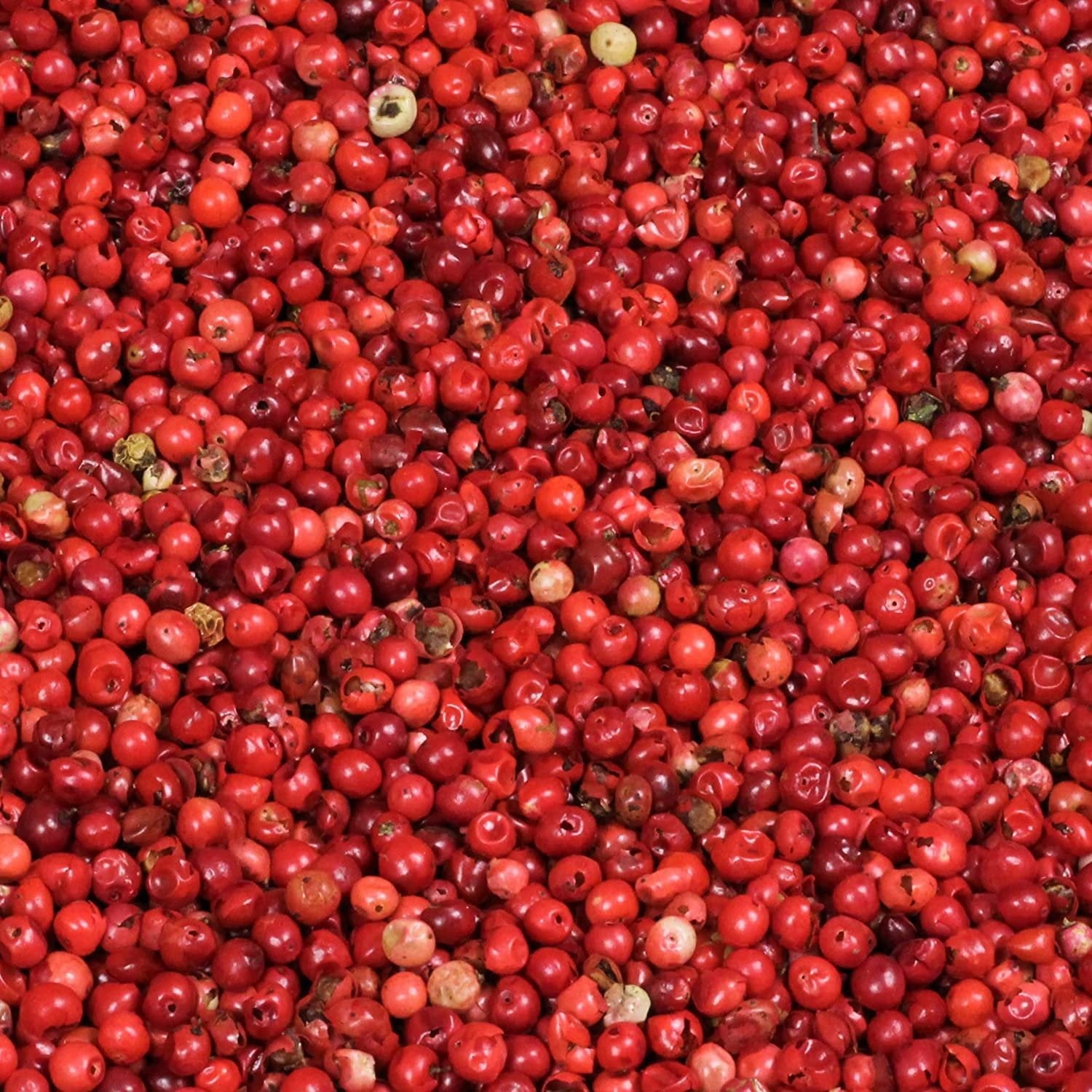 KALUSTYANS DRIED WHOLE PINK PEPPERCORN 1 Lbs