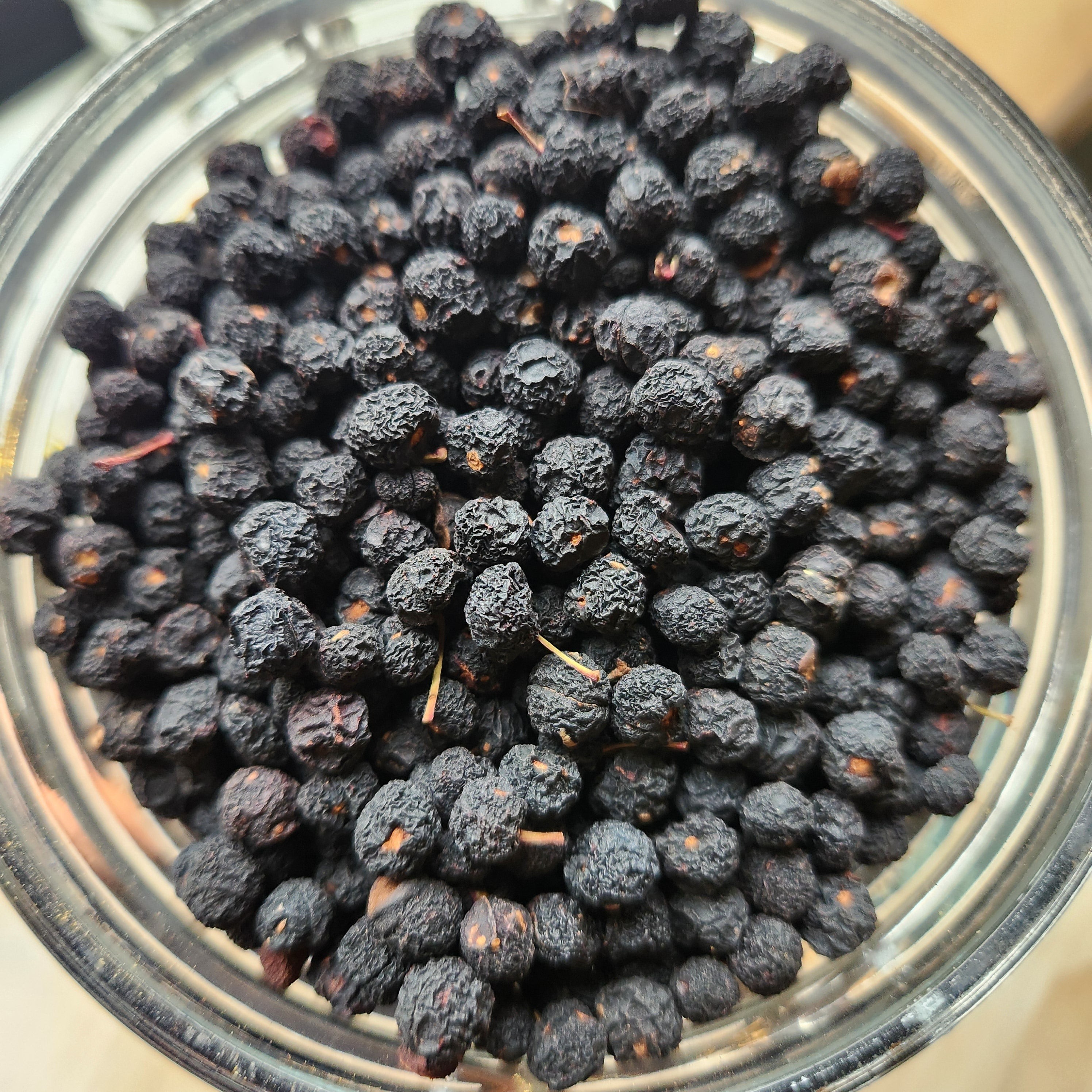 KALUSTYANS TASMANIAN PEPPER BERRIES 0.13 Lbs