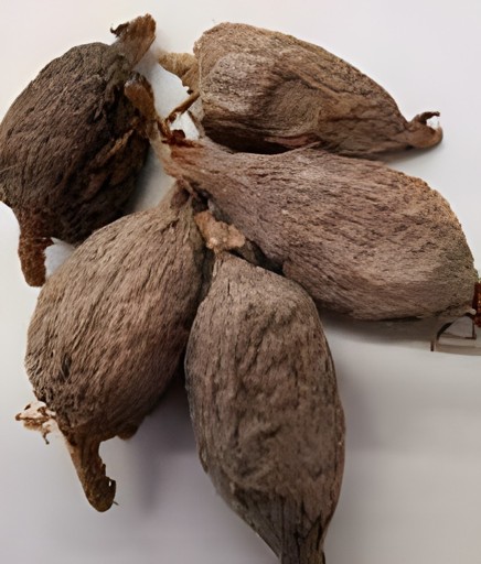 KALUSTYANS WEST AFRICAN ALIGATOR PEPPER 4 Each