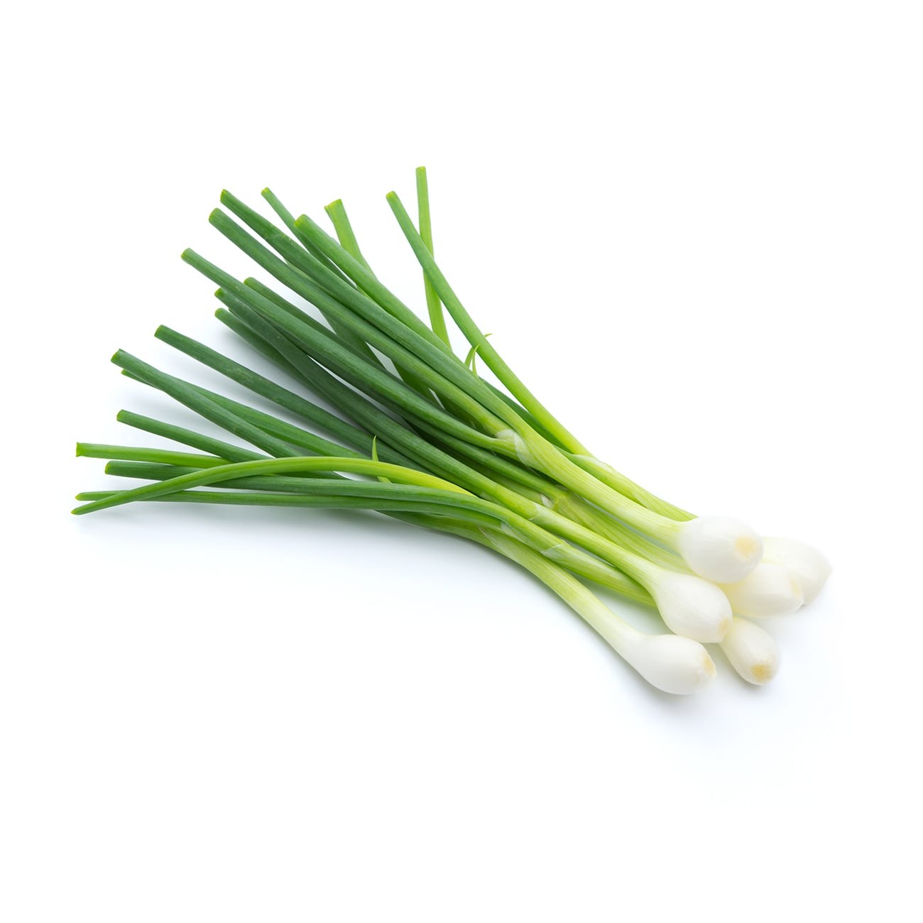 Spring Onions 1 LBS