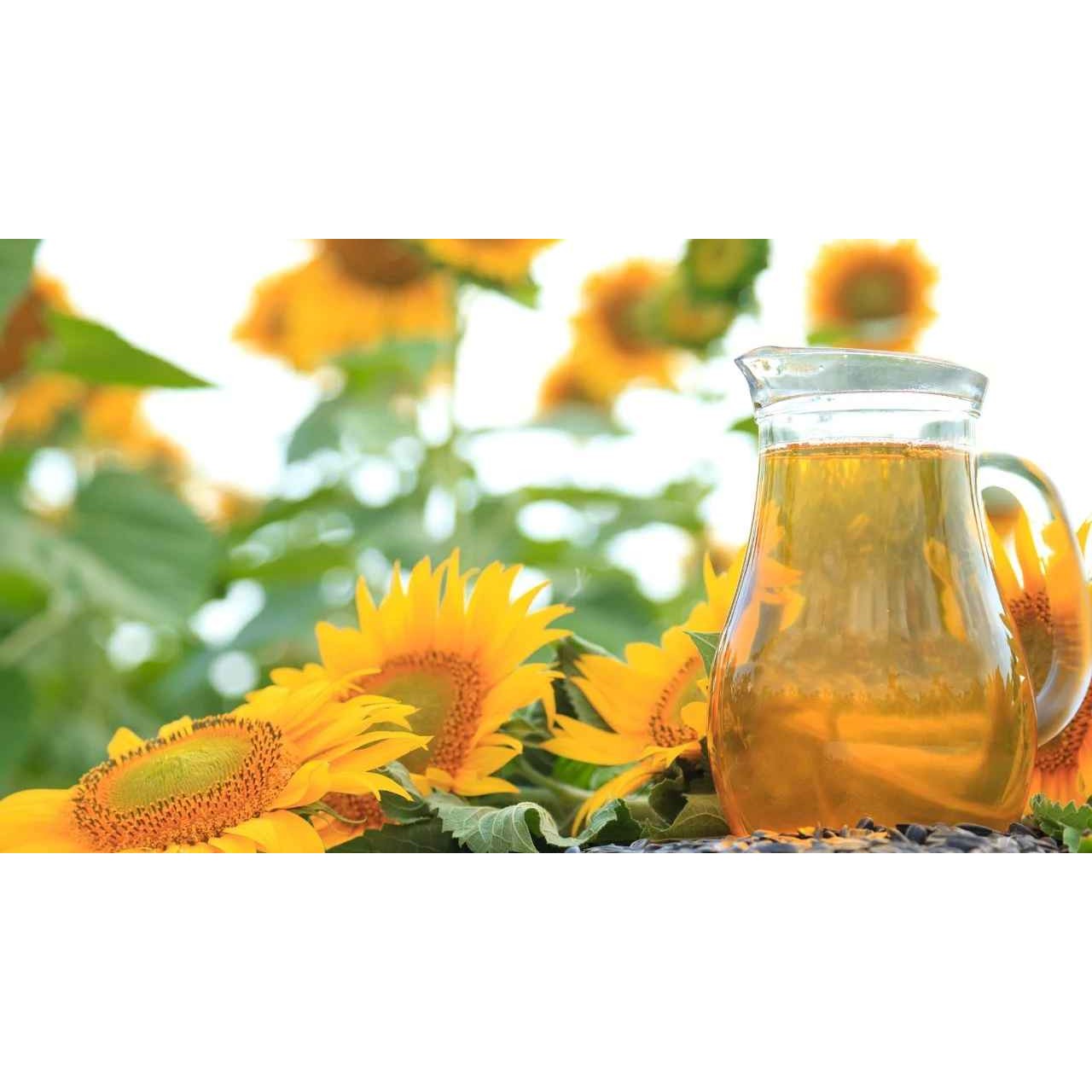 Sunflower Oil 5 LBS