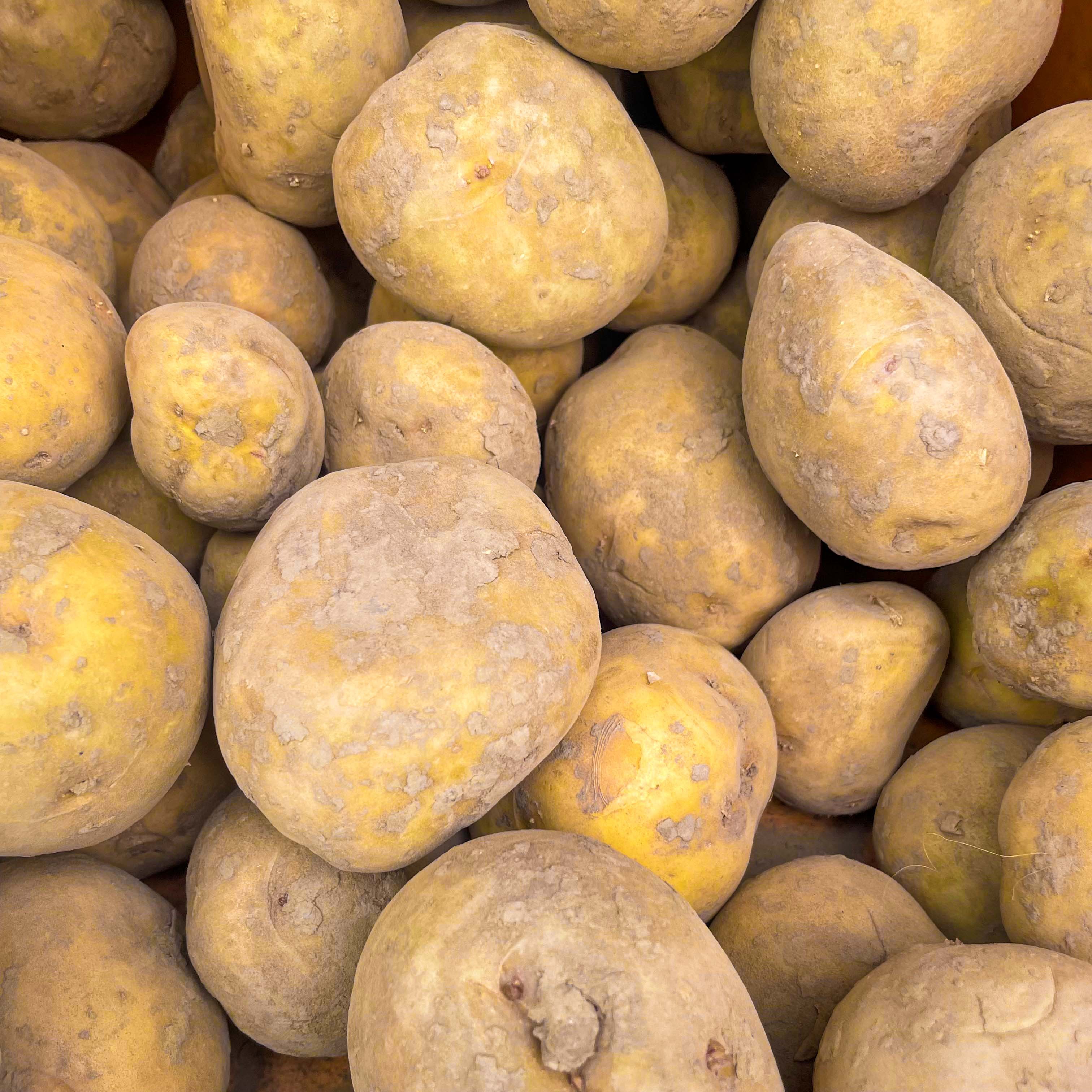 Patatos Idaho Yellow 1 LBS