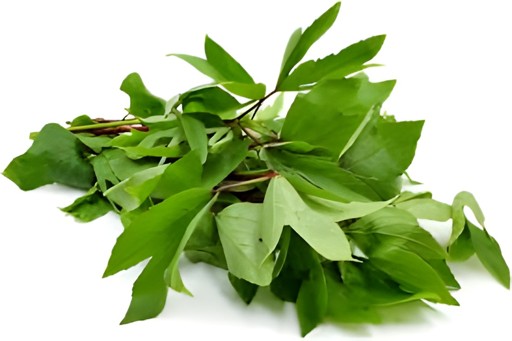 Gongura Leaf 1 LBS