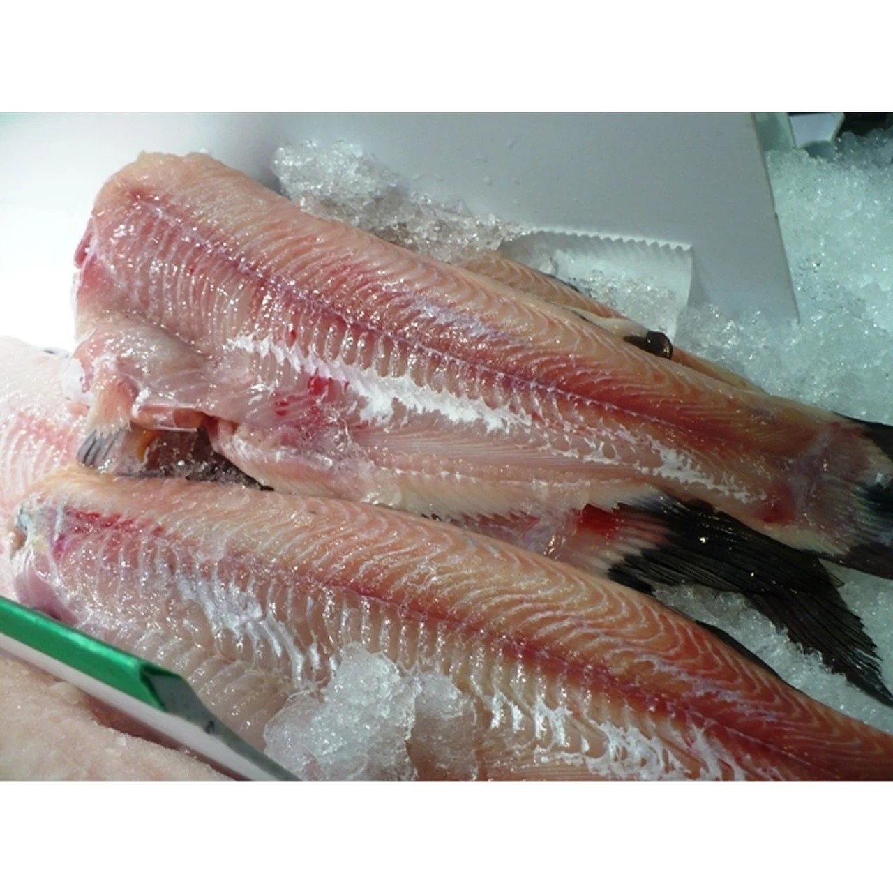 Cat Fish Fillet 3 LBS