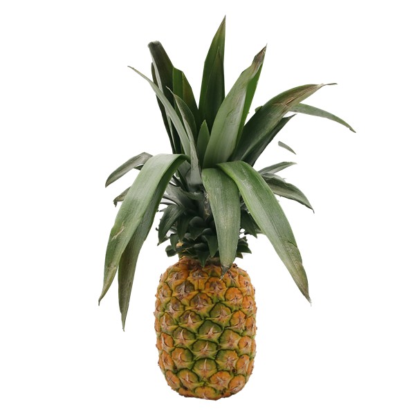 Ripe Mini Honeyglow Pineapple 1 COUNT