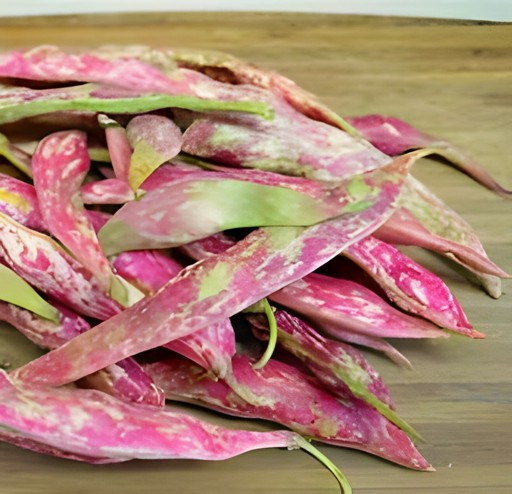 Cranberry Bean 1 LBS