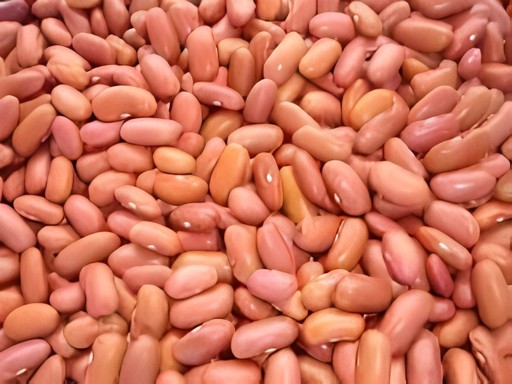 Kidney Beans 7 LBS