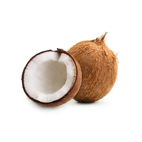 Whole Coconut NON EDIBLE 1 PACK