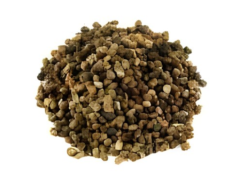 Cardamom Seeds 100 GM