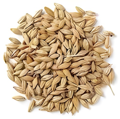 Jav Barley 100 GM