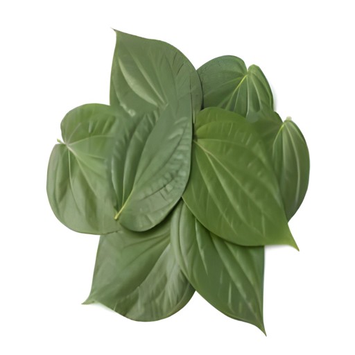 PAAN LEAF 5 PCS