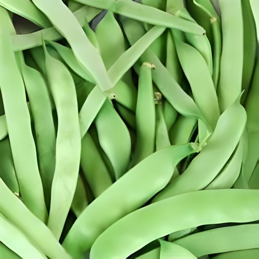 Roman Bean 1 LBS