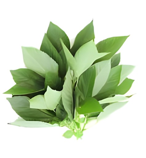 Jute Leaf  1 LBS