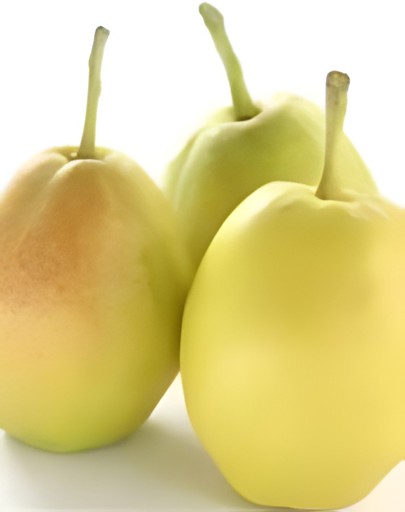 Naspati(Pear)  1 LBS