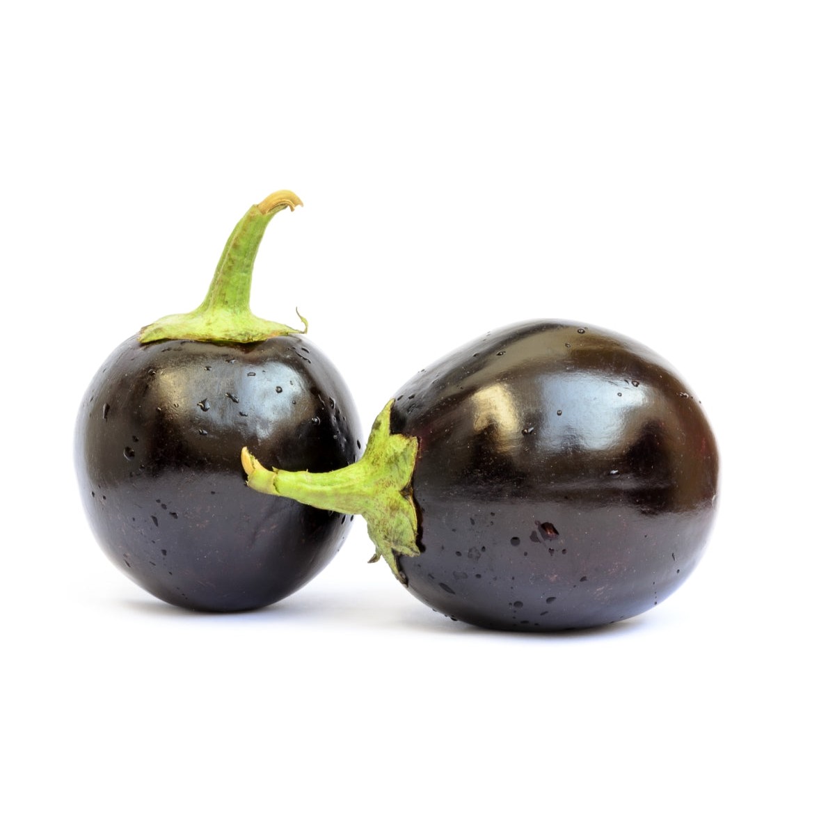 Eggplant Round 1 LBS