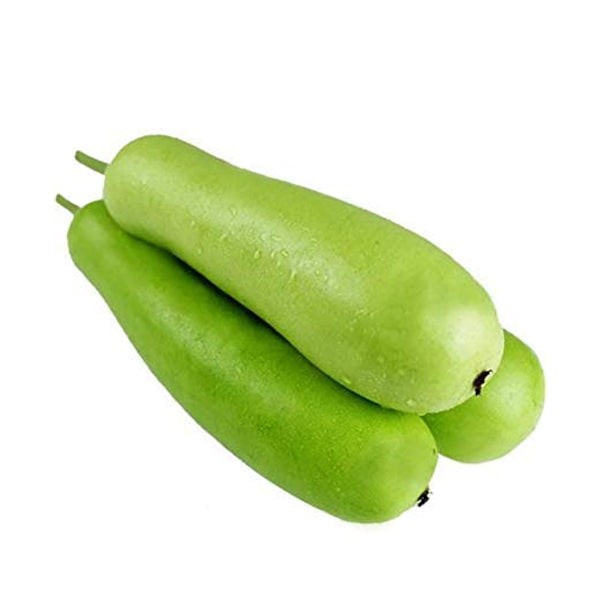 Dudhi Indian 1 LBS