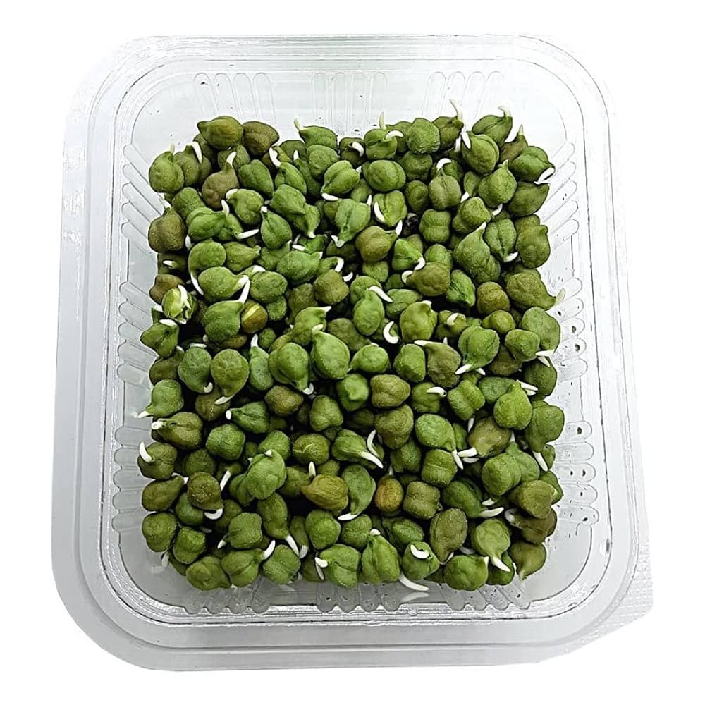 GREEN CHANNA 1 LBS