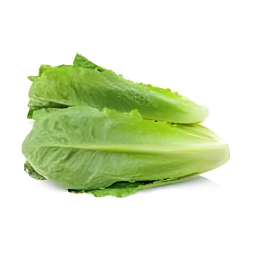 ROMAINE LETTUCE 1 LBS