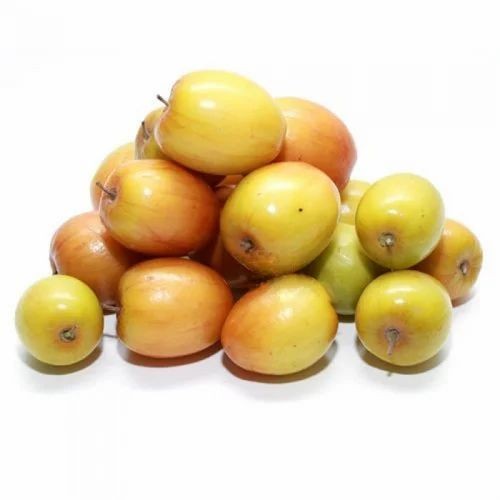 INDIAN BER 1 LBS