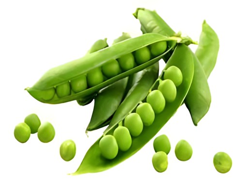 FRESH GREEN PEAS 1 LBS