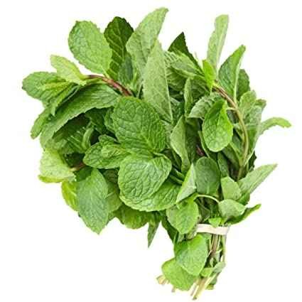Mint Leave Bunch 1 BUNCH