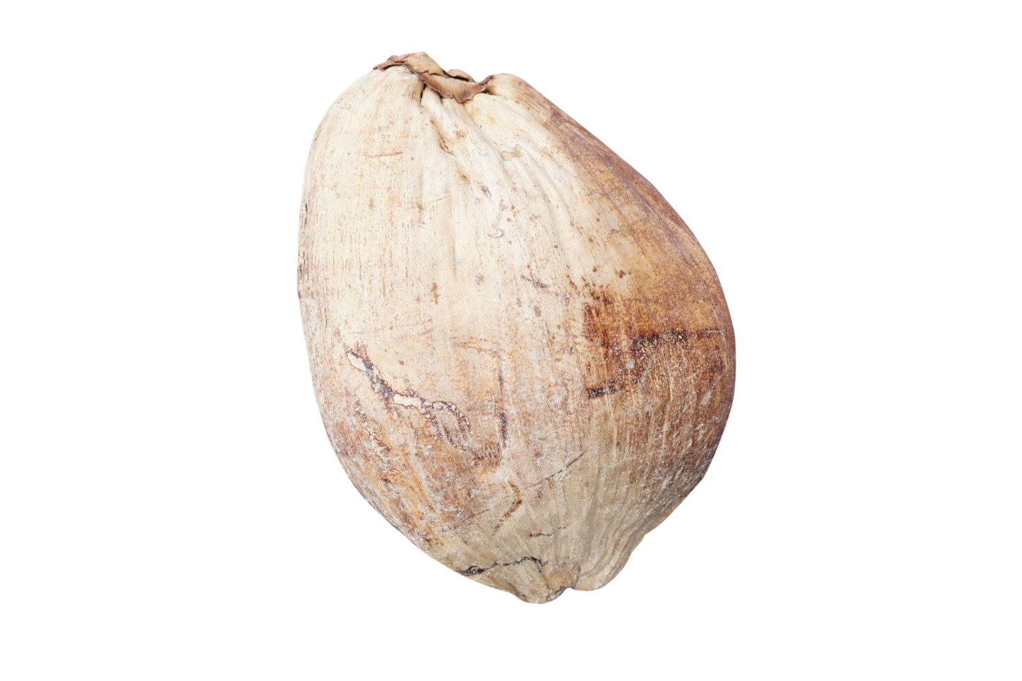 DRY COCONUT 1 LBS