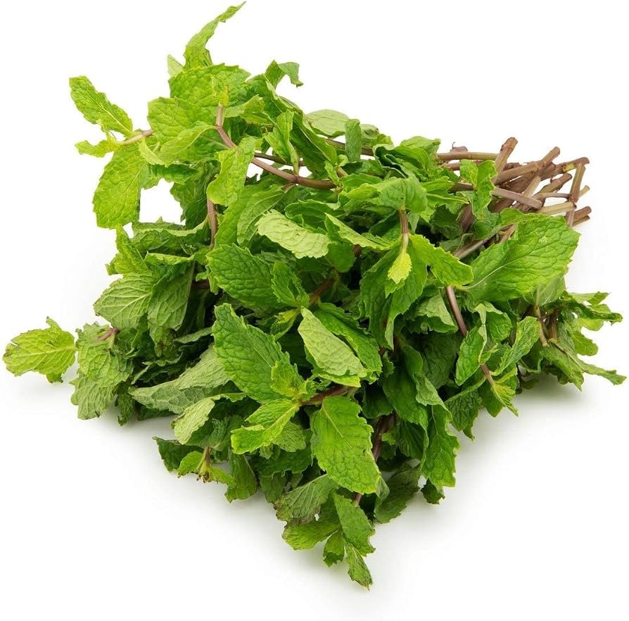 Mint Leave Ea 99 1 BUNCH