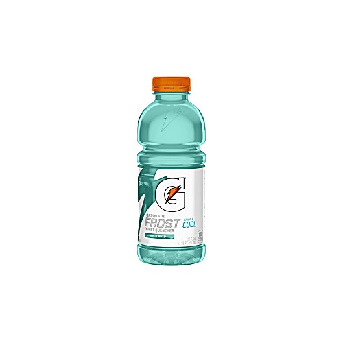 Gatorade Arctic Blitz 20 OZ
