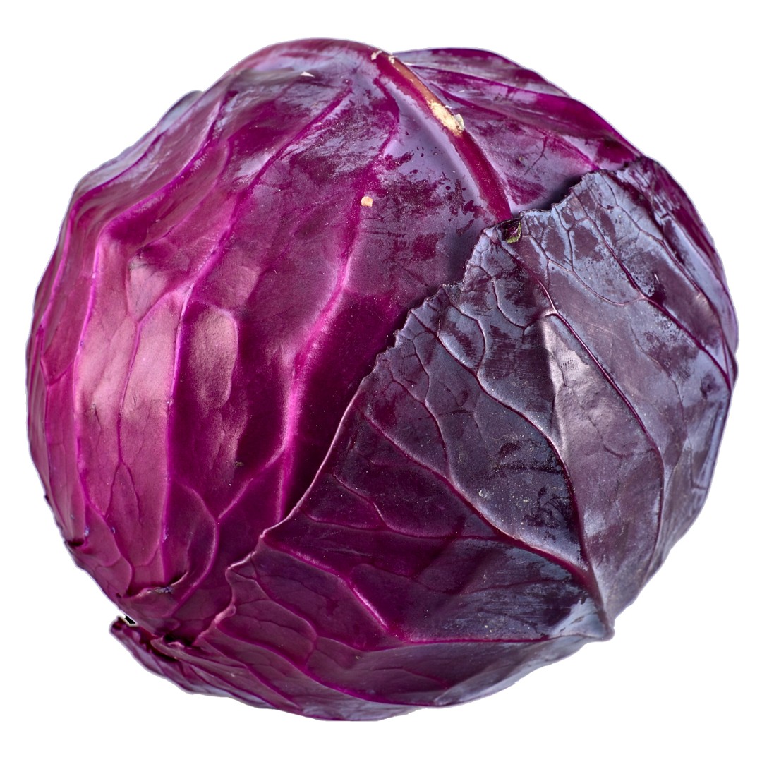 CABBAGE PURPLE 1 LBS