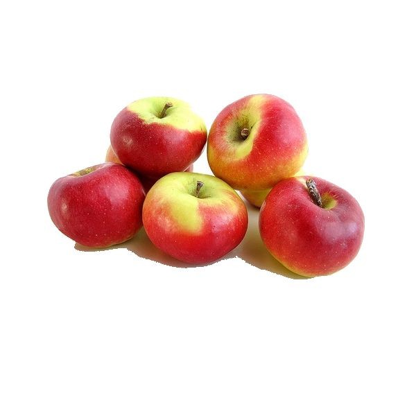 APPLE ORGANIC 1 LBS