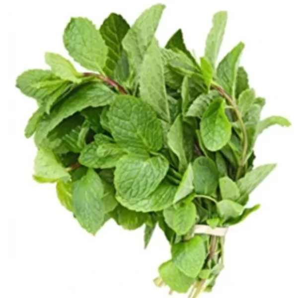MINT LEAF 1 BUNCH