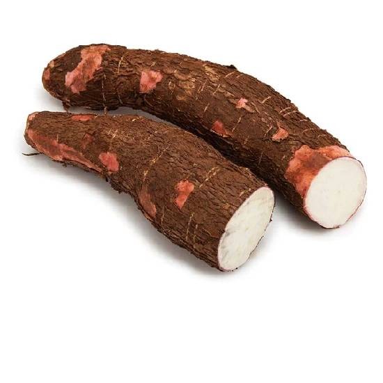 TAPIOCA 1 LBS