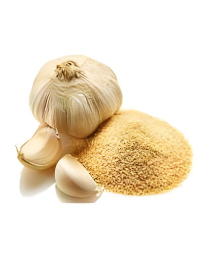 Adonis Garlic Powder 255 GM