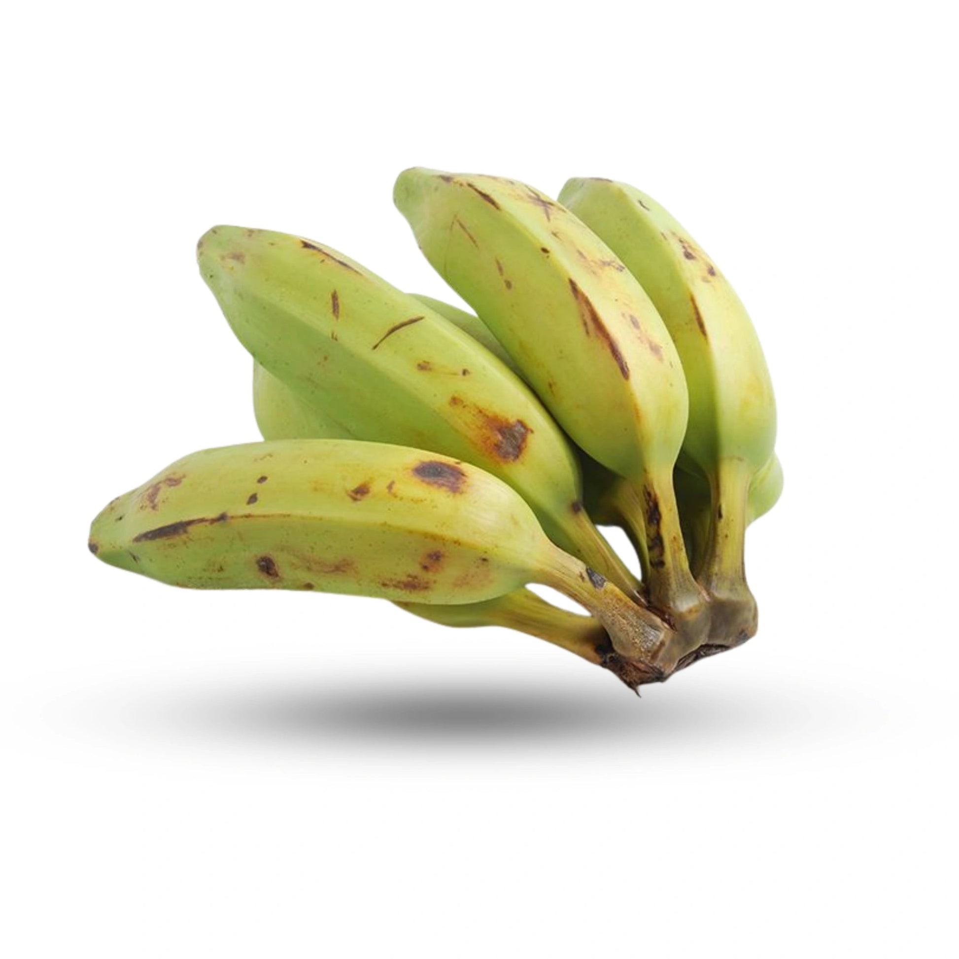 BURRO BANANA 1 LBS