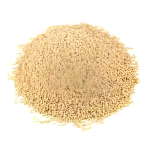 Poppy Seeds 170 GM
