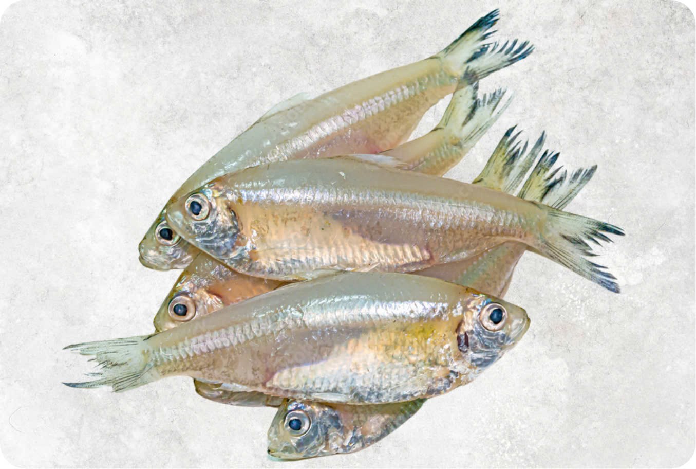 KESKI FISH 1 EACH