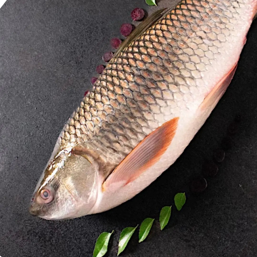 Rohu (4 Kg & 5 Kg) 2 LBS