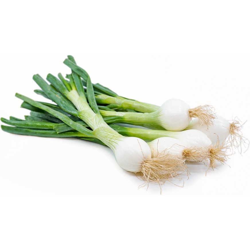 Onion Green Spring Big Cambray Each 1 LBS