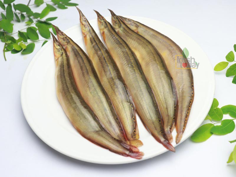 Baby Mango 1 EACH