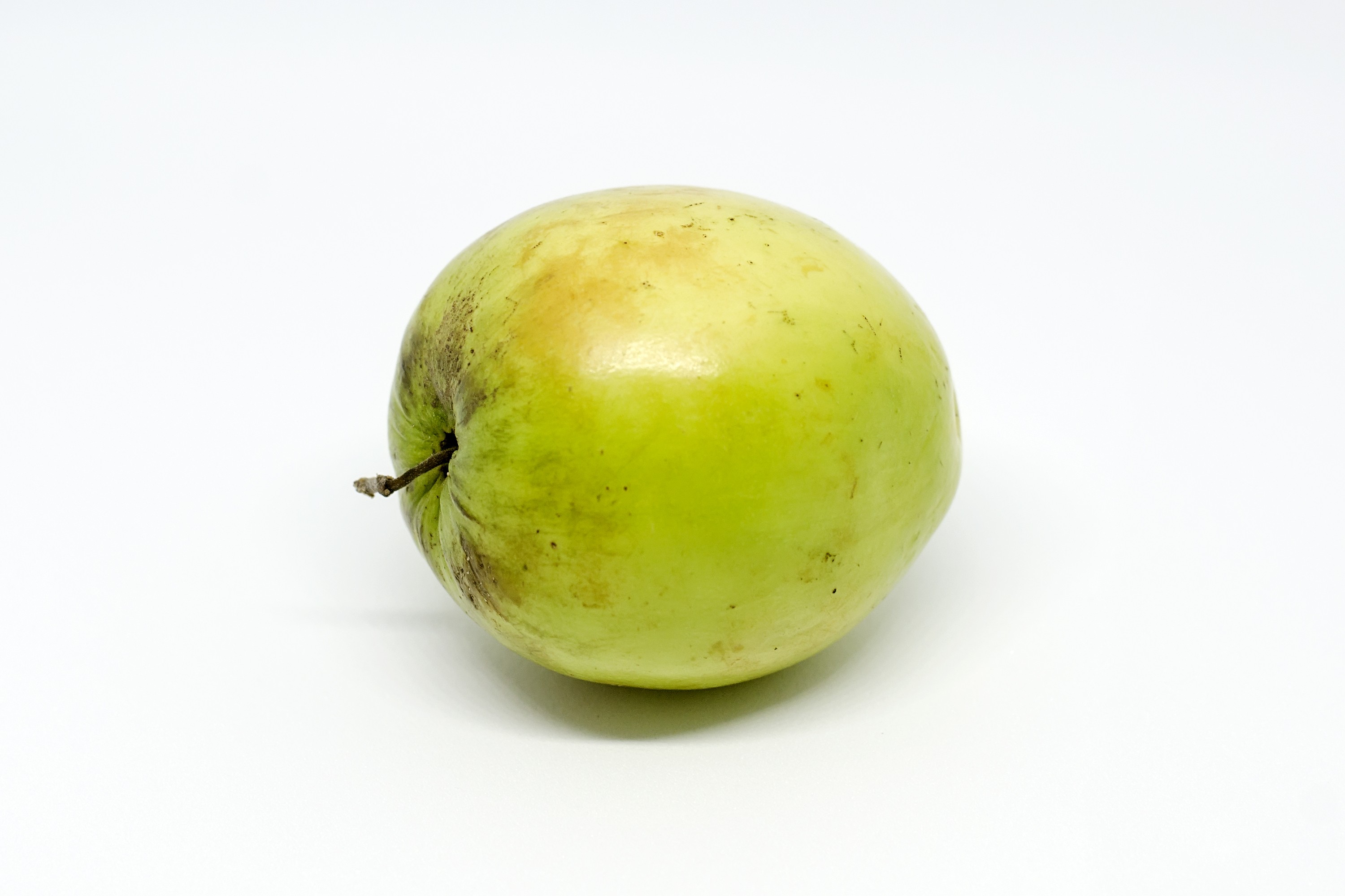 BEAR FRUIT 1 LBS
