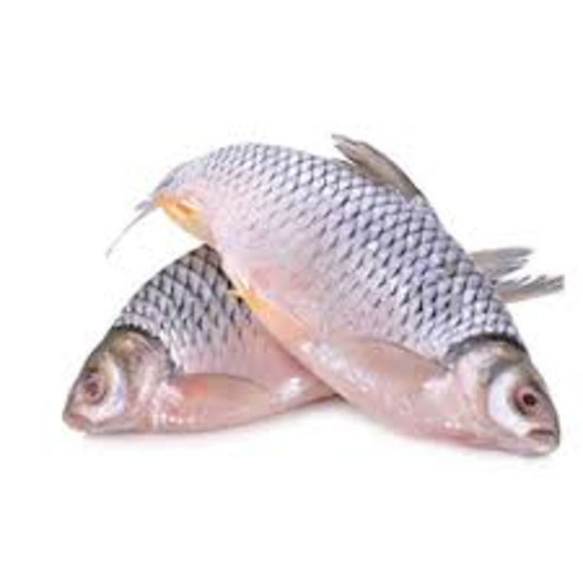 Shorputi (Raniputi) 3 LBS