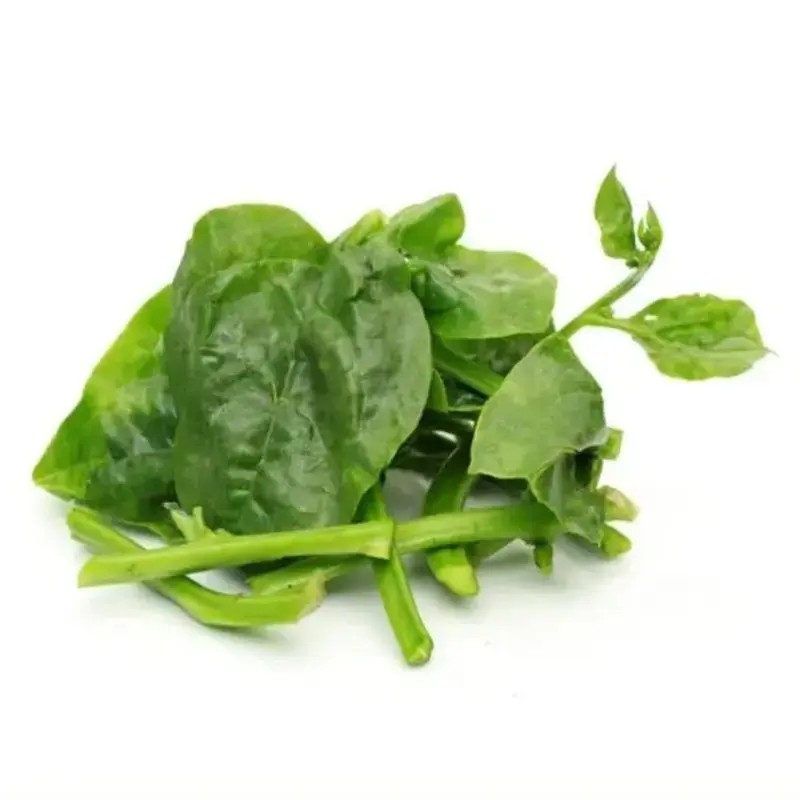 DUDHI 1 LBS