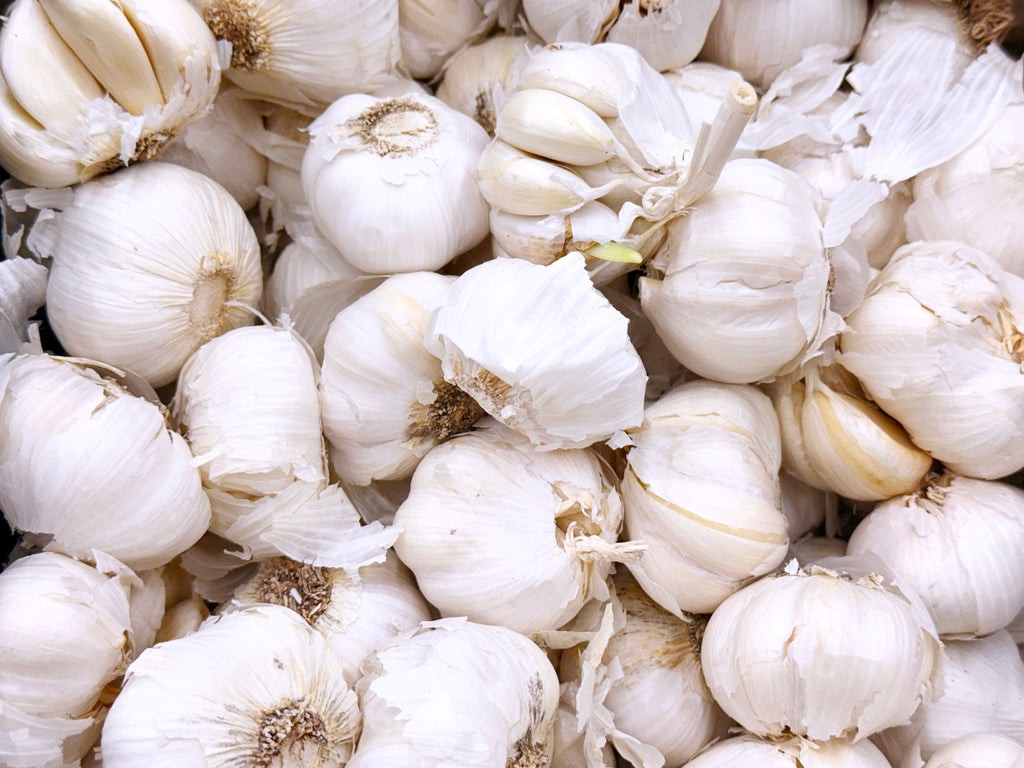 FRESH SLEEVE GARLIC 1 LBS